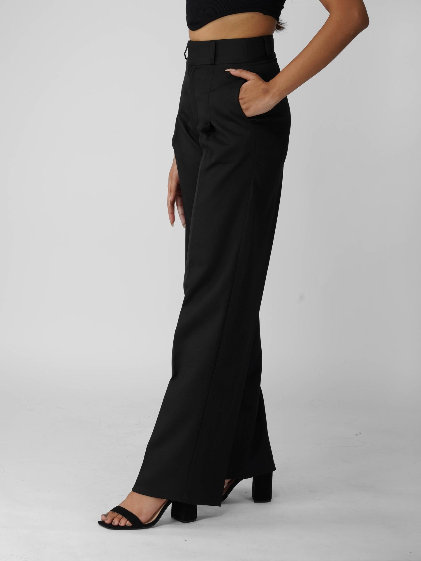 Black Pleated Pants - Mist Pants (Onyx)